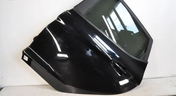 Ford Fiesta Rear door 