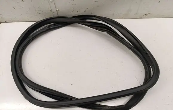 Mini Cooper Countryman R60 Front door rubber seal 
