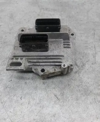 Engine control unit/module ECU