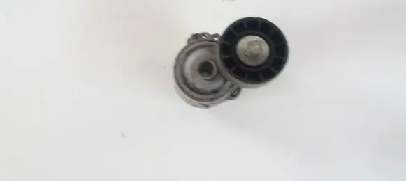 Citroen C8 Generator/alternator belt tensioner 3501507