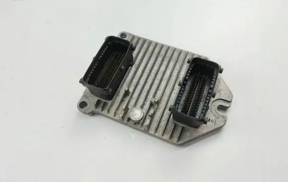 Engine control unit/module ECU