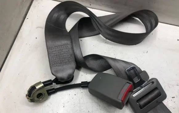 Volkswagen Golf IV Middle seatbelt (rear) 1J0857487DHCQ