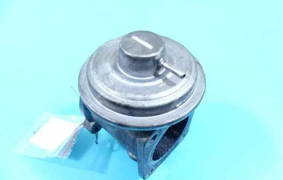 EGR valve