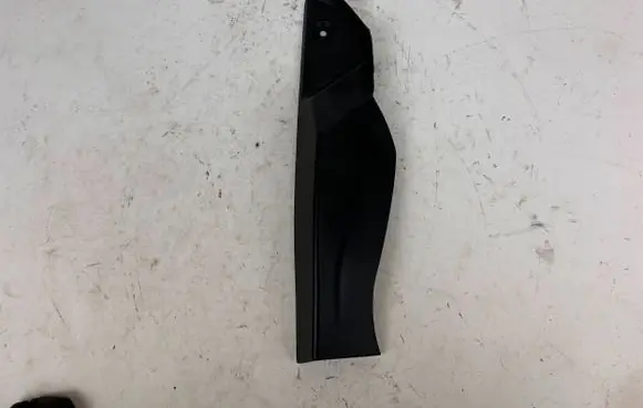 Rear/tail light trim molding