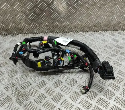 Tesla Model Y Other wiring loom 206876700C