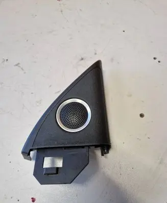 Front door high frequency speaker