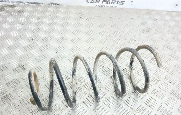 Seat Leon (1M) Front coil spring