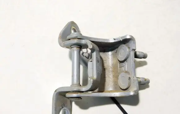 Rear door lower hinge