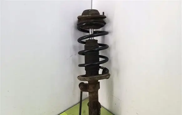 Chevrolet HHR Front shock absorber with coil spring 22209800