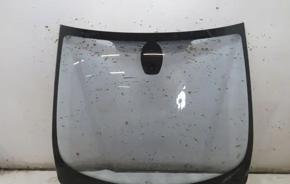 Renault Zoe Front windscreen/windshield window 