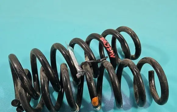 Rear coil spring
