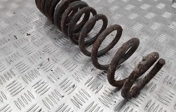 Ford Focus Rear coil spring
