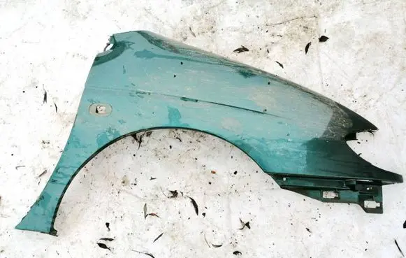 Renault Scenic I Fender