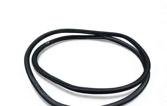 Volkswagen Atlas Rear door rubber seal (on body) 3CN867913B