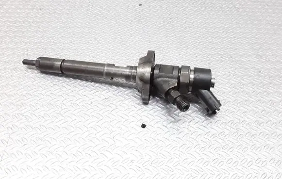 Citroen C5 Fuel injector 0445110259