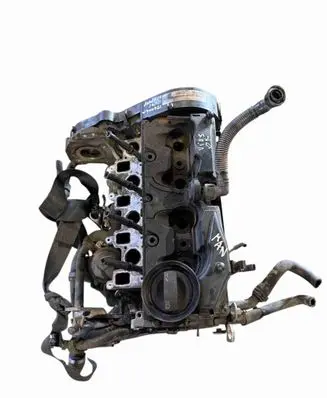 Volkswagen Golf VI Engine CAY