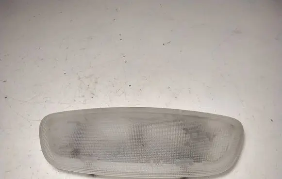 Mercedes-Benz E W210 Front seat light 2108203401 460950