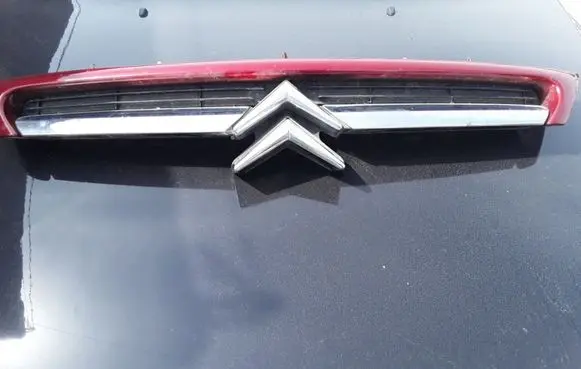 Citroen C8 Front grill 1484199477 90092
