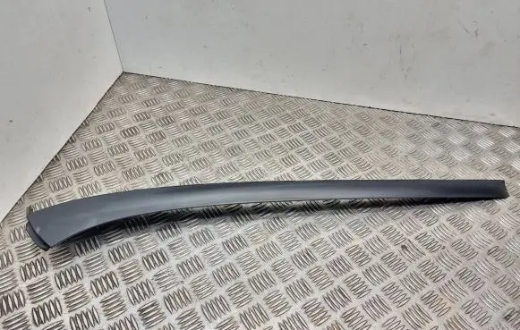 Windshield trim