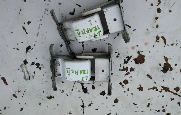 Renault Trafic II (X83) Loading door hinge set 
