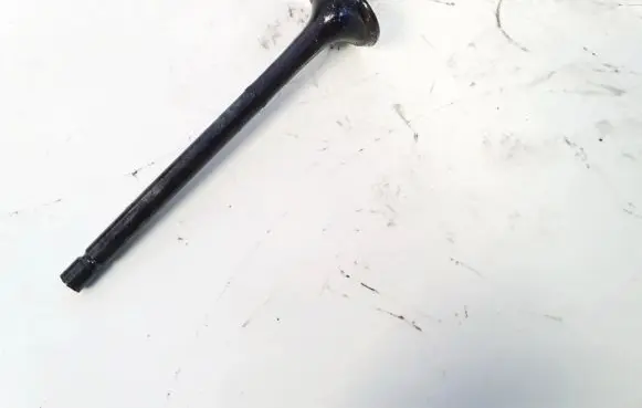 KIA Sorento Valve 