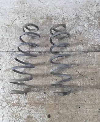 Rear coil spring