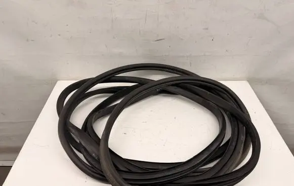 Renault Scenic IV - Grand scenic IV Front door rubber seal GRSC4USZCZ2