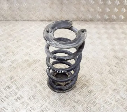 Tesla Model 3 Rear coil spring 104447201C