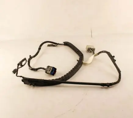 Dodge Caravan Other wiring loom P68211876AA