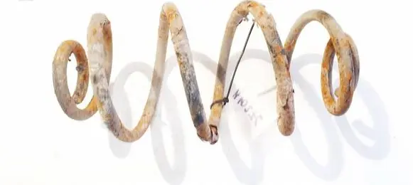 Rear coil spring