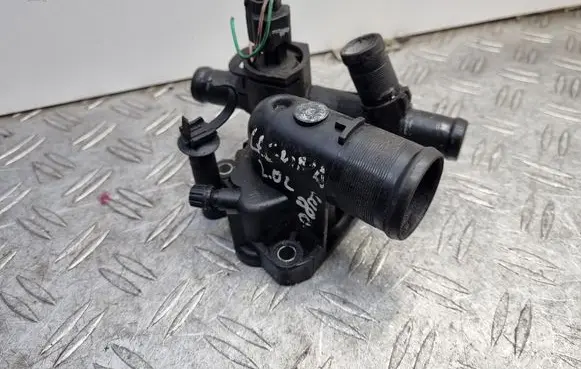 Thermostat/thermostat housing
