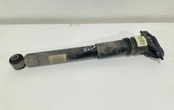 Citroen C4 III e-C4 Rear shock absorber/damper 9841379480