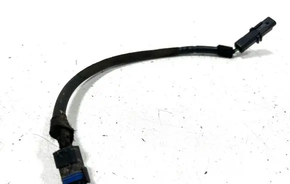Ford C-MAX II Other wiring loom