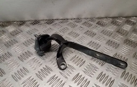 Tailgate/trunk/boot hinge