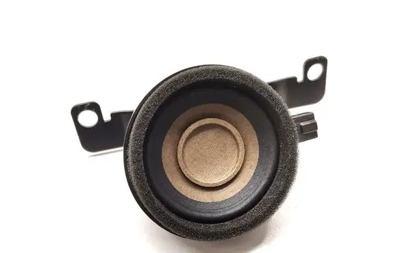 Front door high frequency speaker