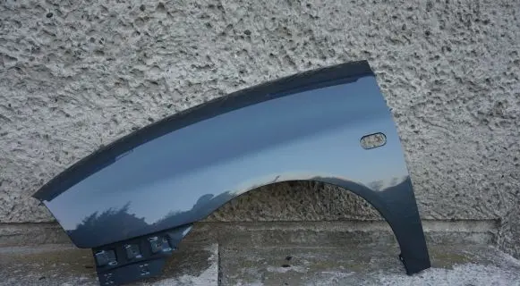 Seat Ibiza III (6L) Fender