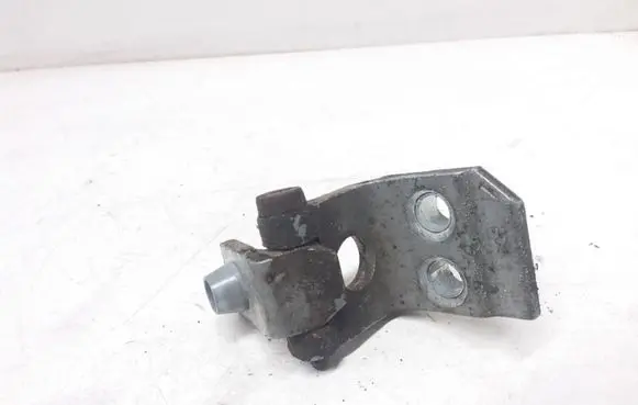 Peugeot 206 Front door lower hinge 
