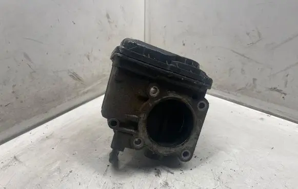 Throttle body valve