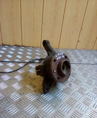 Renault Scenic I Front wheel bearing hub 