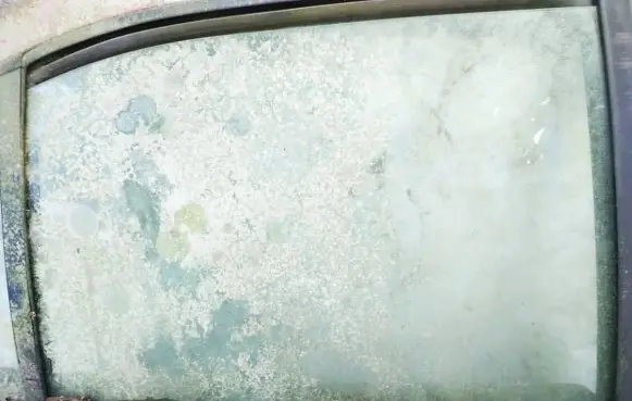 Nissan Primera Rear door window glass