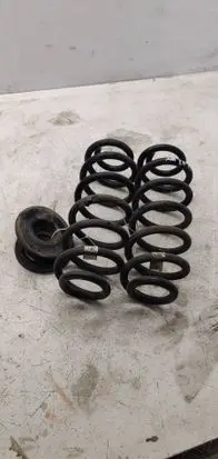 Rear coil spring