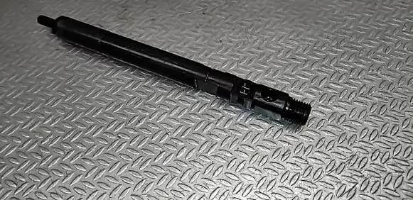 Mercedes-Benz E W211 Fuel injector EJBR04201D A6460700987