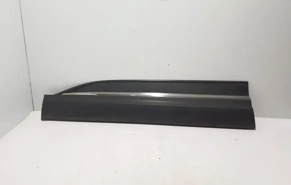 Renault Koleos II Front door trim (molding) 808217185R