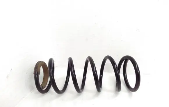 Rear coil spring