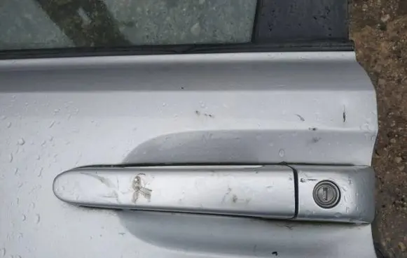 KIA Carnival Front door exterior handle