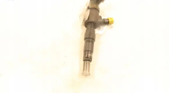 Peugeot Partner Fuel injector 0445110340