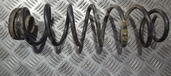 Rear coil spring