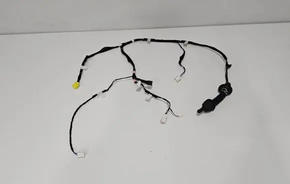 Front door wiring loom