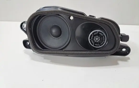 Panel speaker