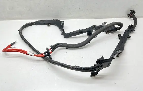 Positive wiring loom